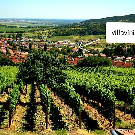 Villa Vinica Limbach Экстерьер фото