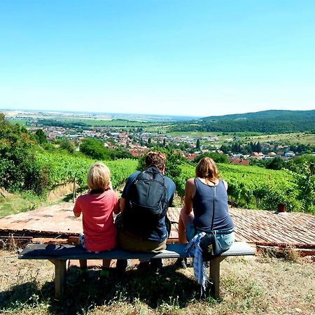 Villa Vinica Limbach Экстерьер фото