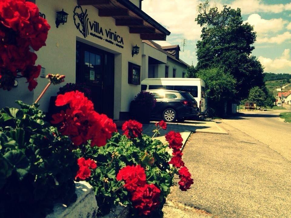 Villa Vinica Limbach Экстерьер фото