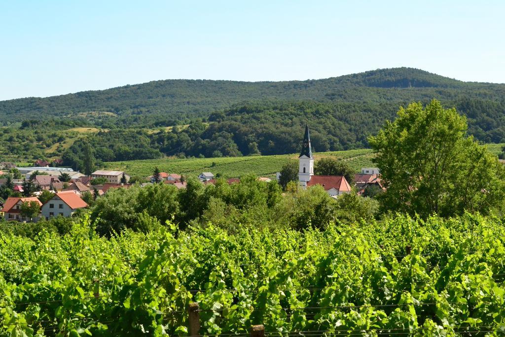 Villa Vinica Limbach Экстерьер фото