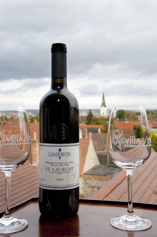 Villa Vinica Limbach Экстерьер фото