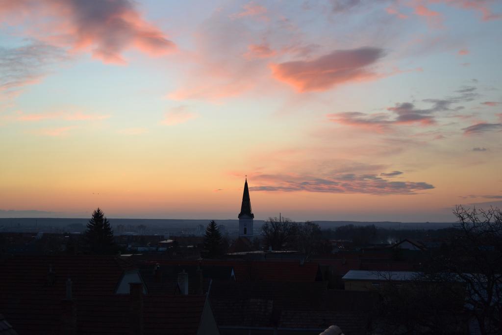 Villa Vinica Limbach Экстерьер фото