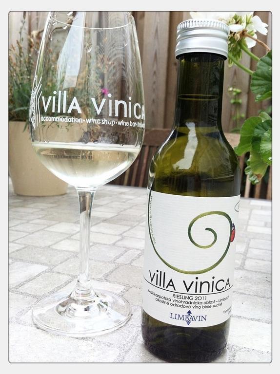 Villa Vinica Limbach Экстерьер фото