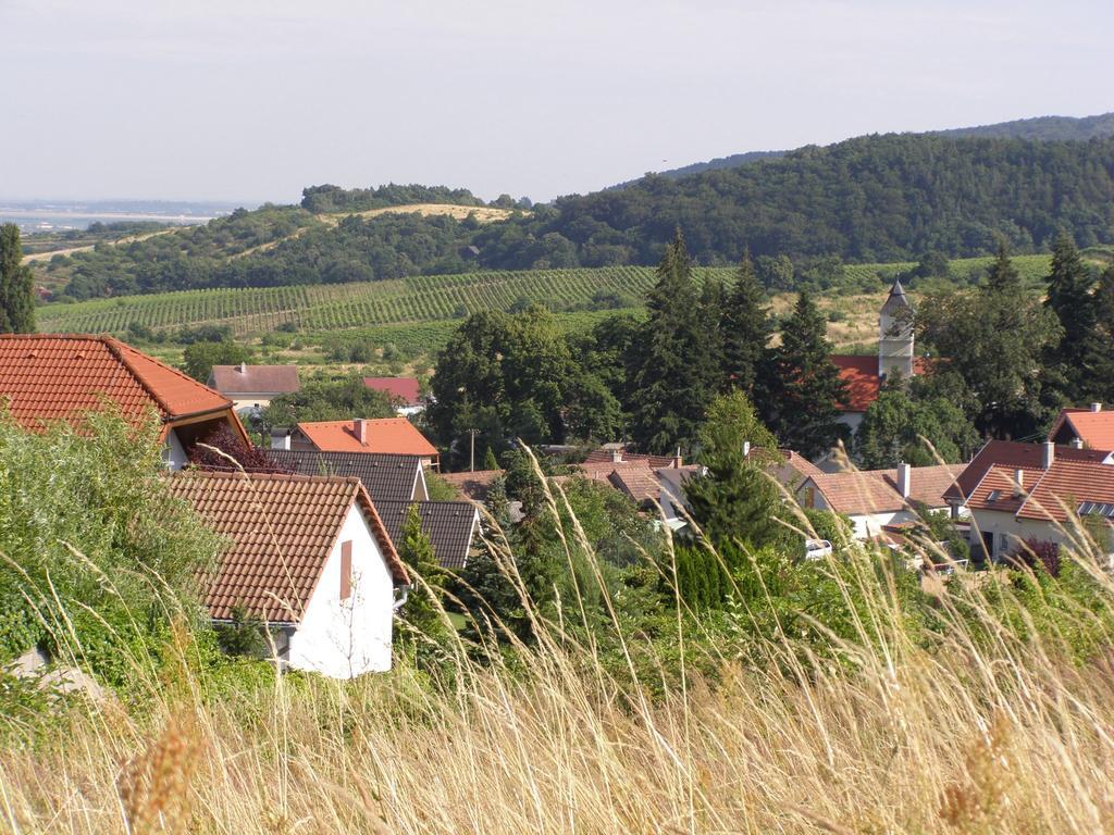 Villa Vinica Limbach Экстерьер фото