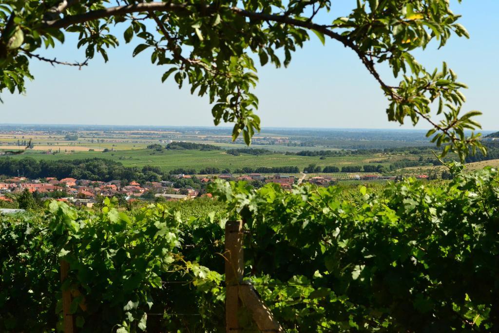 Villa Vinica Limbach Экстерьер фото