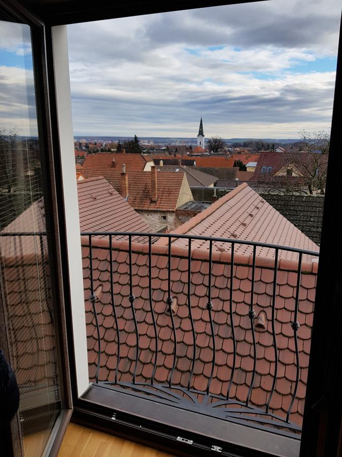 Villa Vinica Limbach Экстерьер фото
