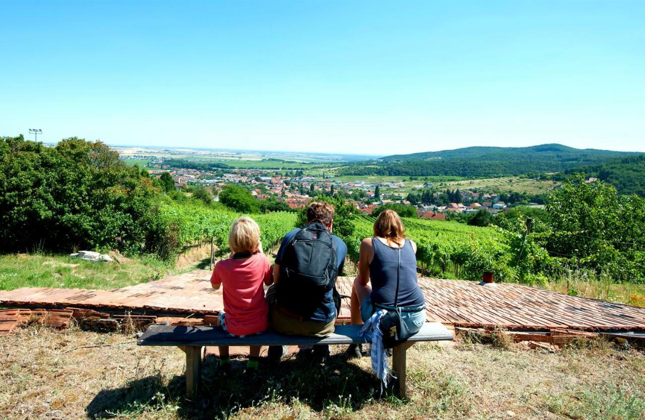 Villa Vinica Limbach Экстерьер фото